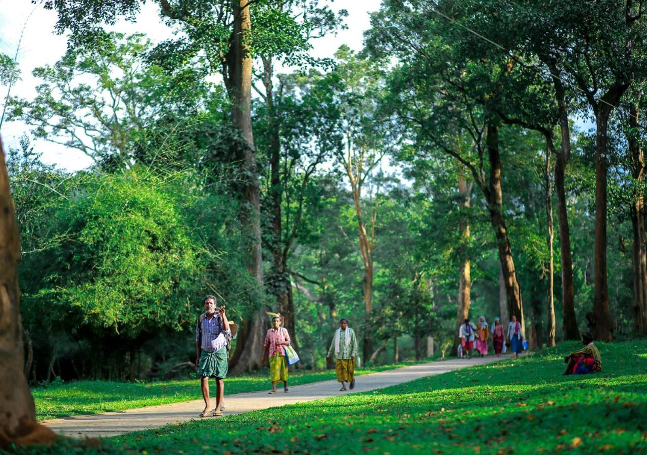 Tusker Inn Wayanad Forest Villa By Voye Homes Zewnętrze zdjęcie