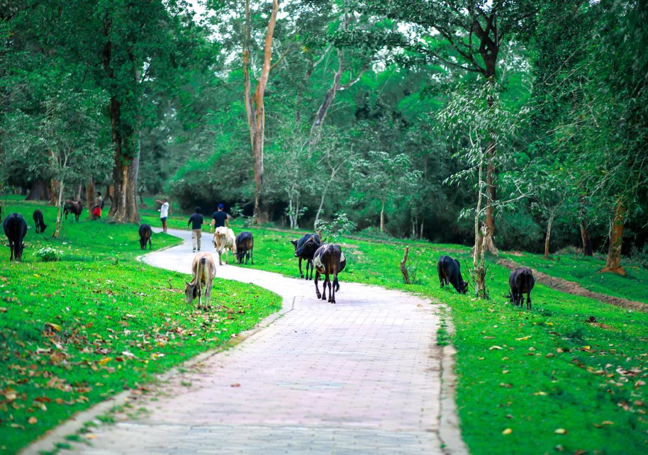 Tusker Inn Wayanad Forest Villa By Voye Homes Zewnętrze zdjęcie