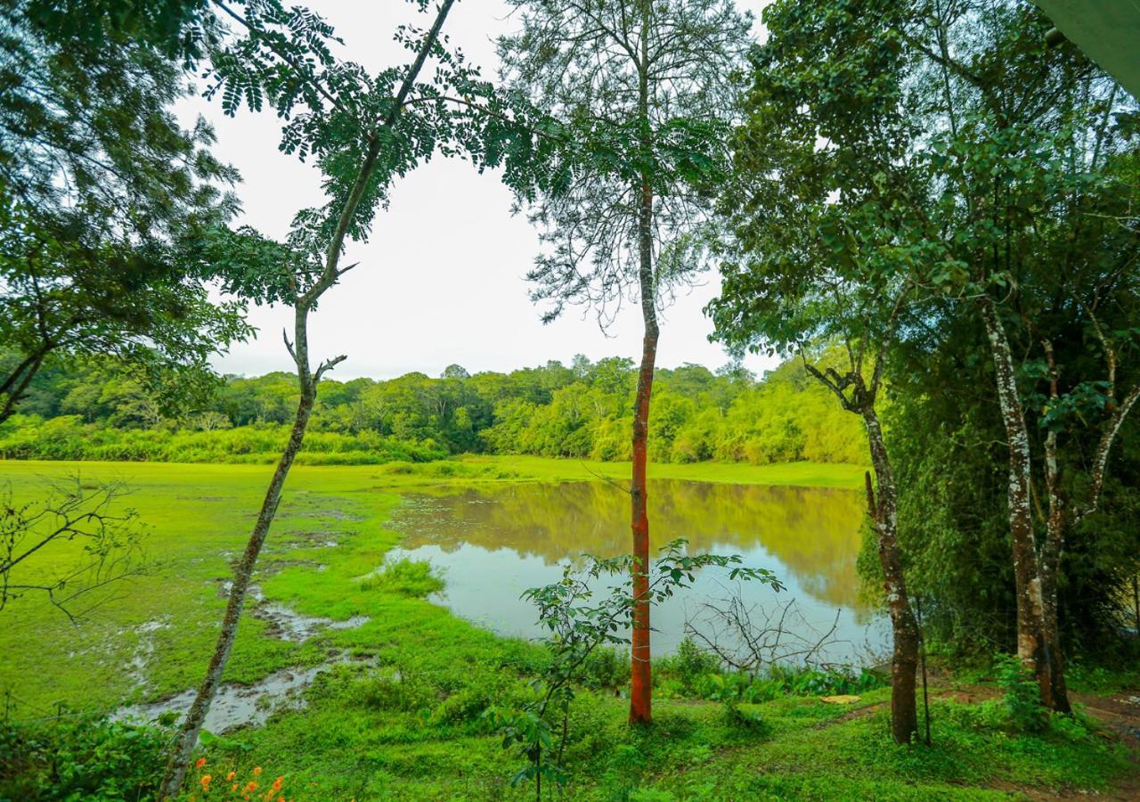 Tusker Inn Wayanad Forest Villa By Voye Homes Zewnętrze zdjęcie